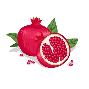 لوگو دوستان